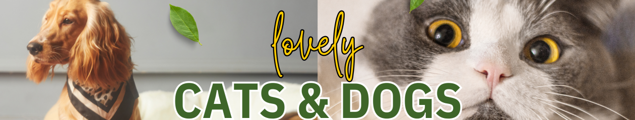 Cats & Dogs Grooming Store